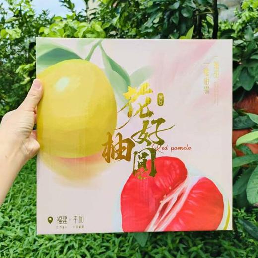 福建琯溪三红柚 柚粒剔透柔嫩 鲜嫩多汁没有酸涩味 富含维C 商品图1