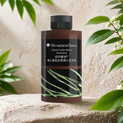 自然雅舍高山雪松珍萃男士洗发液  300ml/瓶 商品图0
