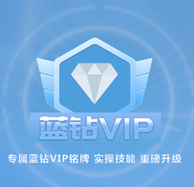 蓝钻VIP会员套餐课程