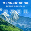 【粮药LY】 丹参片(9g*10包) 独立小袋装 官方正品 商品缩略图1