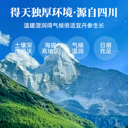 【粮药LY】 丹参片(9g*10包) 独立小袋装 官方正品 商品图1