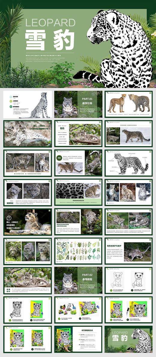 《和雪豹做朋友：美术课上的雪山之王》动物/豹子/线描/自动发货：下单后，点击手机短信中收到的链接，即可获取文件下载的链接；如有任何问题，可添加客服微信hm33268获得帮助。 商品图2