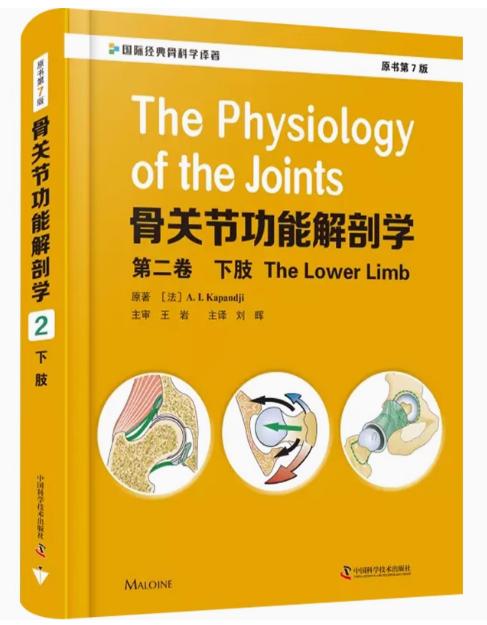 骨关节功能解剖学 第二卷 下肢 主审王岩 主译刘晖 骨外科人体解剖结构工具书 商品图0
