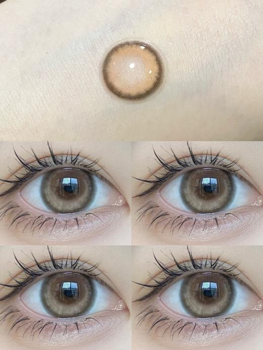 Navy Brown 奶棕冻冻【年抛】 商品图0