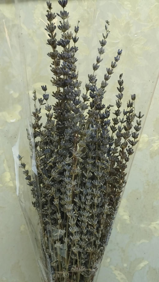 薰衣草  干花  若干枝/扎 商品图4