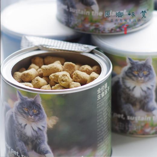 全价昆虫蛋白无谷猫粮&猫冻干&猫罐头&猫条（基地直发-京东快递）|  多种规格，来自昆虫计划，生产者：昆虫计划【合作生产，公平贸易】 商品图4