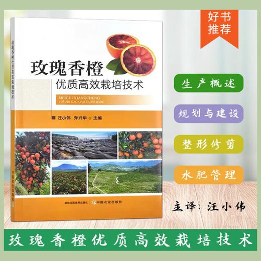 玫瑰香橙优质高效栽培技术【官方正版，可开发票，下单时留开票信息和电子邮箱】 商品图0