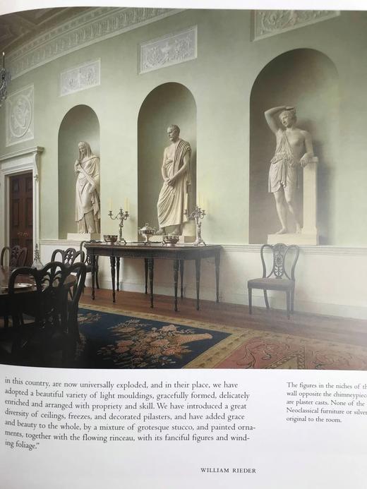 大都会艺术博物馆主题展室图集 289幅插图（219幅彩色） 精装大16开 商品图10