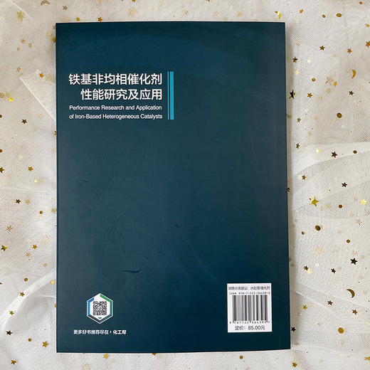 铁基非均相催化剂性能研究及应用 商品图3