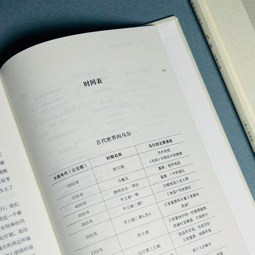 乌尔：月神之城(二十世纪人文译丛) 商品图6