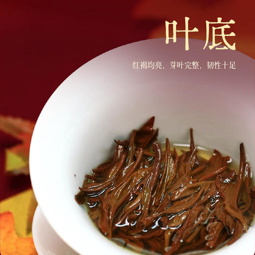 【中秋礼——陈升红茶叶礼盒】陈升红滇红茶年年有余120g云南凤庆红茶滇红礼盒装红茶茶叶年货  买就送价值39.8七日茶 商品图6