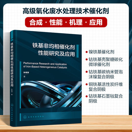 铁基非均相催化剂性能研究及应用 商品图0