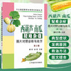 西葫芦南瓜疑难杂症图片对照诊断与* 第2版 无公害蔬菜病虫害防治实战丛书 西葫芦南瓜瓜类蔬菜病虫草害防治技术大全书 角瓜面瓜绿贝贝蔬菜种植技术书 农业园艺学农艺学 *农业出版社【官方正版，可开发票，下 商品缩略图0