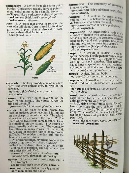 麦克米伦儿童辞典 约千幅彩色插图 精装16开 商品图11