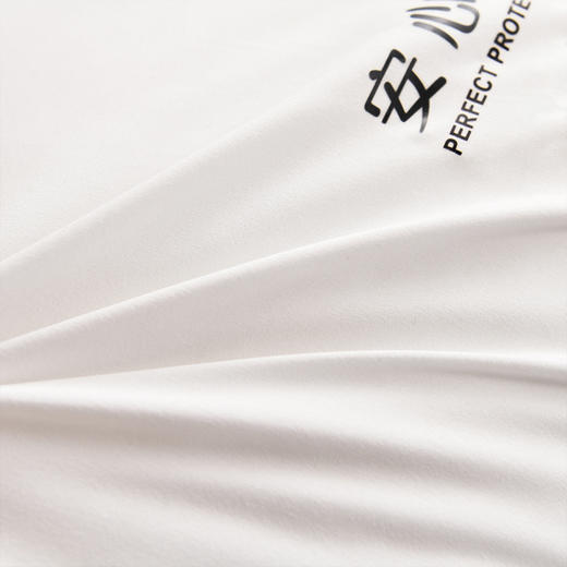 faunen芳恩A级安心睡眠对枕FN-R7016-1 商品图1