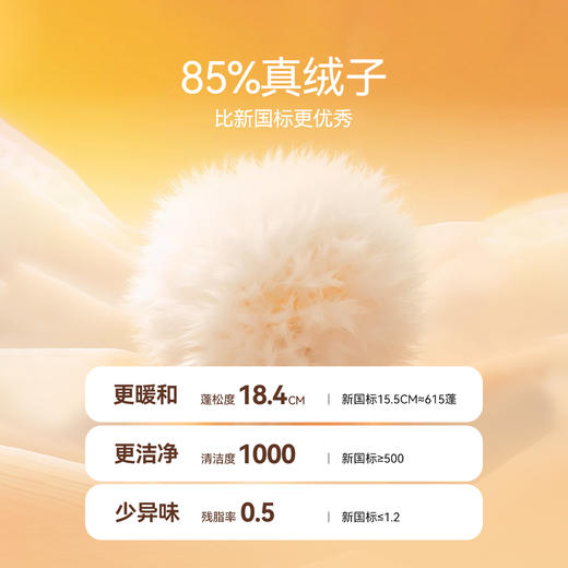 【轻薄5~15℃】男女童短款羽绒服外套冬季新款安奈儿童装EM445507 商品图2