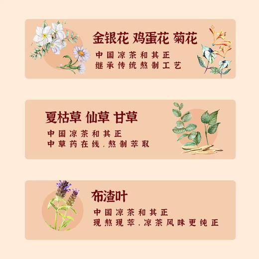 和其正凉茶 500ml/瓶 商品图3