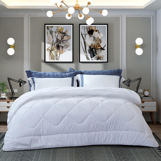 富安娜  聚保暖冬厚被 商品图0