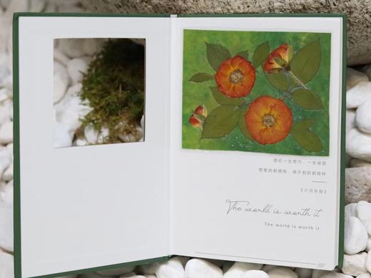 押花笔记本 商品图4