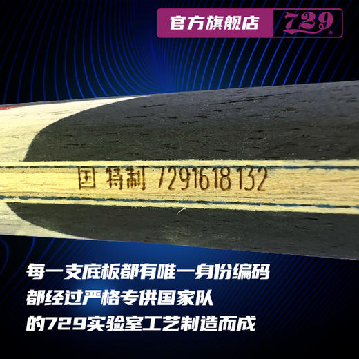 729 外置纤维底板 国特 WS-NZ 系列 进口黄芳碳 专业队 省队 国家队使用 商品图2