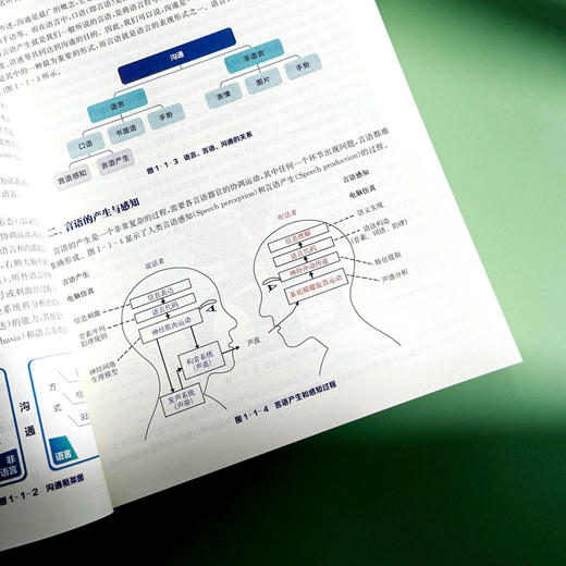 言语与嗓音医学 特殊教育专业教育康复学课程教材 言语病理 商品图9