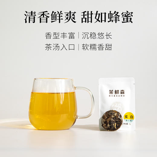 茶鲜森滑竹梁子古树白茶 蜜白 拍3发4送冲泡杯 5g小饼茶 16饼/盒 商品图4