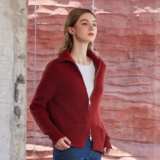 半身缘女装 秋季上衣高领毛衣衫外套时尚柔软舒适243213U01213263 商品图2