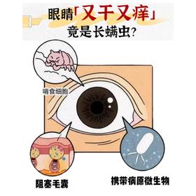 原来螨虫会“藏”进眼睛！
