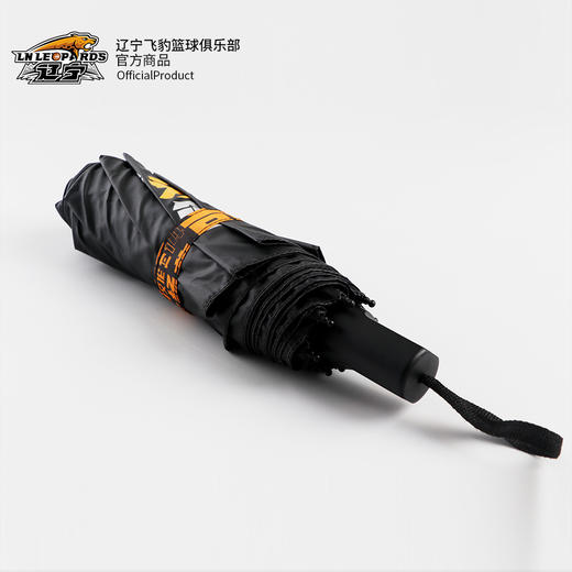 辽宁飞豹男篮官方商品丨辽篮本钢队辽篮球员名单印花晴雨伞遮阳伞 商品图1