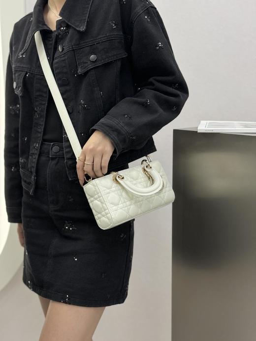 迪奥LadyD-joy横版戴妃包小号六色合集（HH） 商品图8