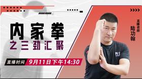 【9月11日】内家拳之三劲汇聚