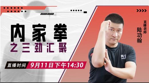 【9月11日】内家拳之三劲汇聚 商品图0