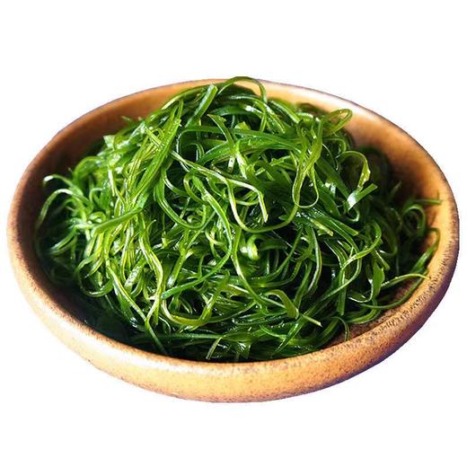 霞浦烘干压缩海带丝 圆饼独立包装 凉拌煲汤的佳品22g/一片 商品图3