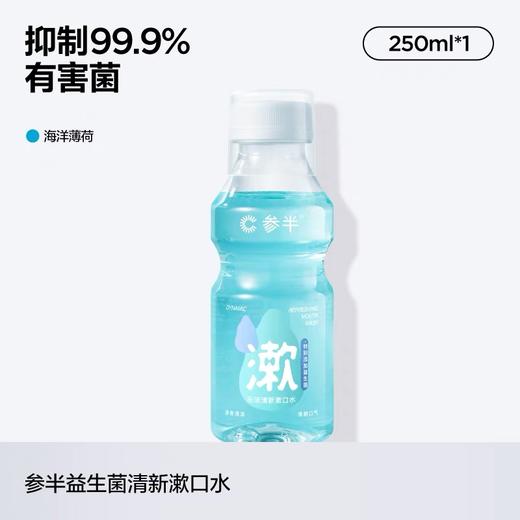参半益生菌漱口水-海洋薄荷250ml 商品图0