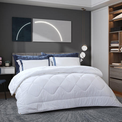 富安娜  聚保暖冬厚被 商品图1