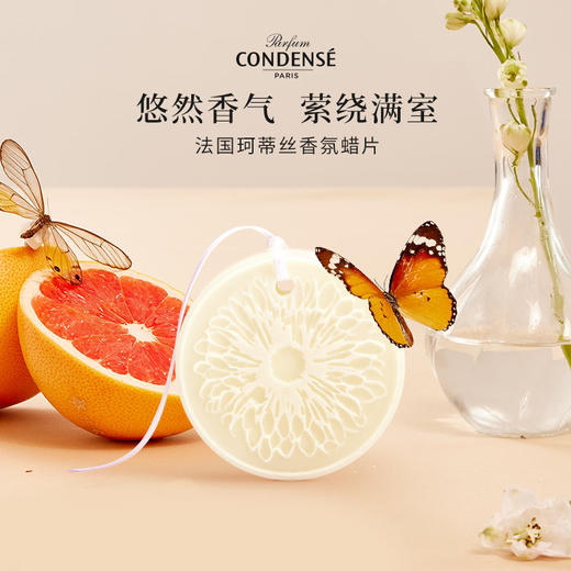 珂蒂丝法国巴黎寻香系列香氛蜡片持久扩香 商品图0