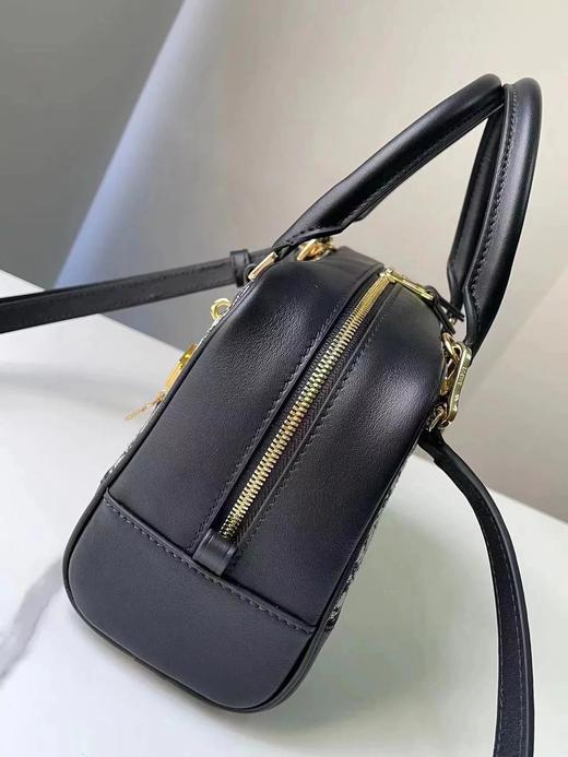 罗意威|a23 帆布印花 单肩斜挎手提包（CB） 商品图2