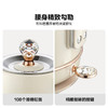 北鼎 Buydeem K208炫彩全304不锈钢电水壶 香槟黄【ZXADZQ10.0】 商品缩略图1