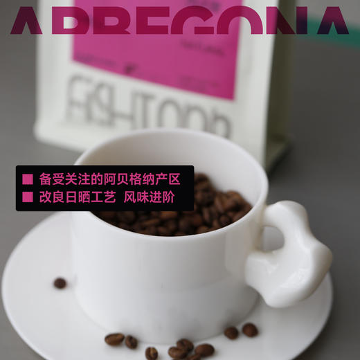 阿贝格纳 日晒G1 季节手冲咖啡豆 商品图2