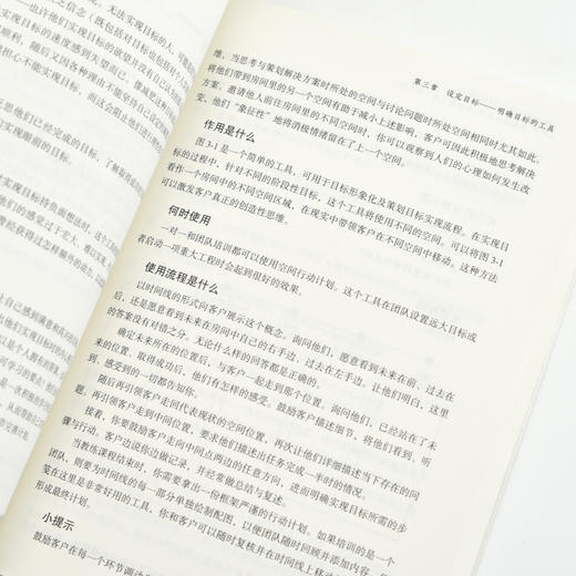 教练技术的53个*工具 第5版 教练领导管理者的实战运用宝典 帮助你快速实现引导合作管理有效交流 人力资源 商品图3