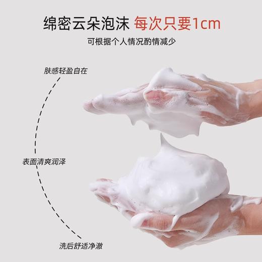 三妆平衡净透洁面乳110g 商品图4