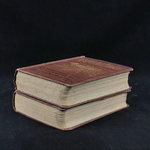 1921年 不列颠群岛鸟类与鸟卵图鉴（全2卷） 455幅彩色插图与大量黑白插图 漆布精装64开 商品图1