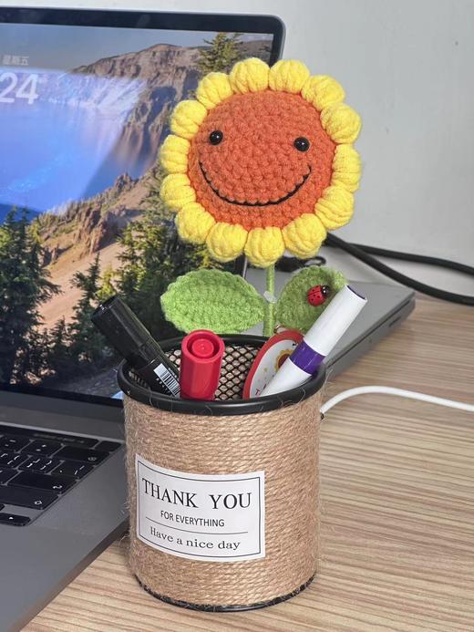 向日葵笔筒52元 商品图5