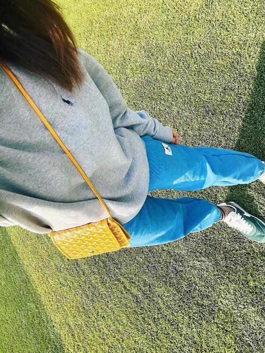 戈雅-狗牙三层斜挎小包plumet，保证你背出去有十足的底气！（CB） 商品图4