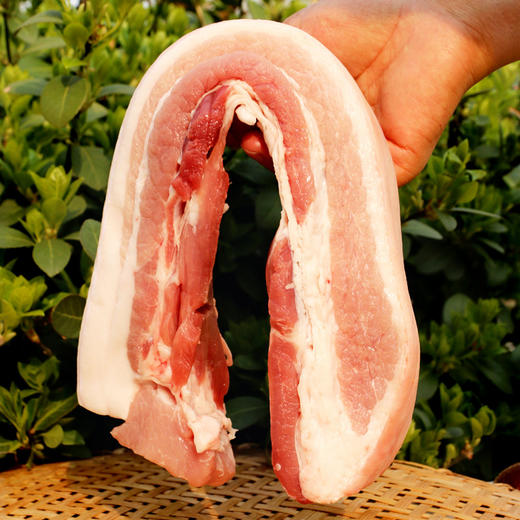 【元旦送礼必备】无抗慢养猪肉礼盒  猪肉肋排 腔骨五花肉前腿5斤  礼盒装  送人优选 商品图3