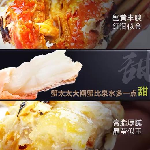 假一罚万！全年保价！【蟹卡】蟹太太大礼券888型/2188型 商品图6