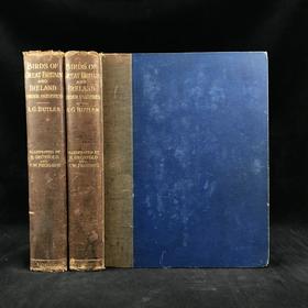 29.5*23.5cm！约20世纪早期 大不列颠与爱尔兰鸟类图鉴（全2卷） 115幅彩色插图 漆布精装大16开