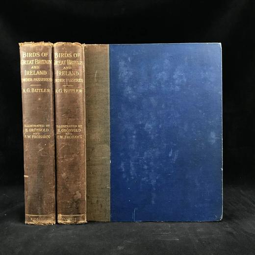 29.5*23.5cm！约20世纪早期 大不列颠与爱尔兰鸟类图鉴（全2卷） 115幅彩色插图 漆布精装大16开 商品图0