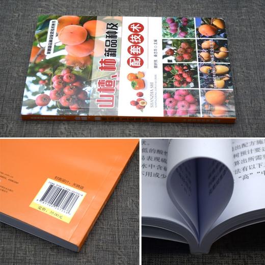 山楂柿新品种及配套技术  山楂树柿子树栽培种植书籍 山楂柿子建园规划肥水管理花果管理技术*修剪技术主要病虫害防治 山楂柿子高产种植技术 山楂柿子绿色高效栽培技术指导书【官方正版，可开发票，下单时留开票 商品图2