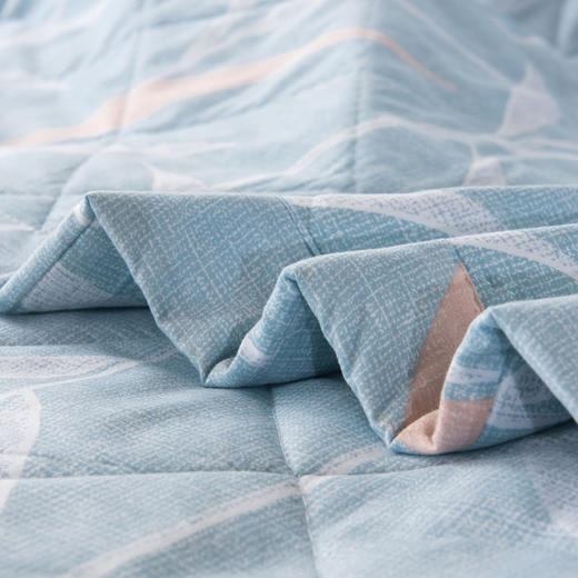 faunen芳恩畅享芦荟被FN-B6016-1 商品图1